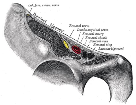 inguinal crease femoral nerve block